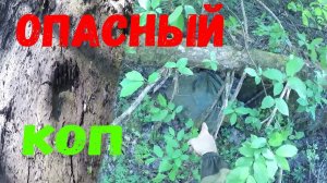 ОПАСНЫЙ КОП! РЯДОМ С НАМИ МЕДВЕДИ!НЕОБЫЧНАЯ НАХОДКА В ЛЕСУ