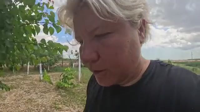 Наталья Губарева. СОБИРАЮ УРОЖАЙ ⧸ ЖИЗНЬ В ДЕРЕВНЕ #villagelife