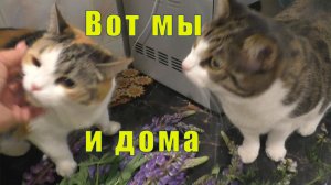 ТРЕТИЙ ДЕНЬ И МЫ В МУРМАНСКЕ /16 июня 2026