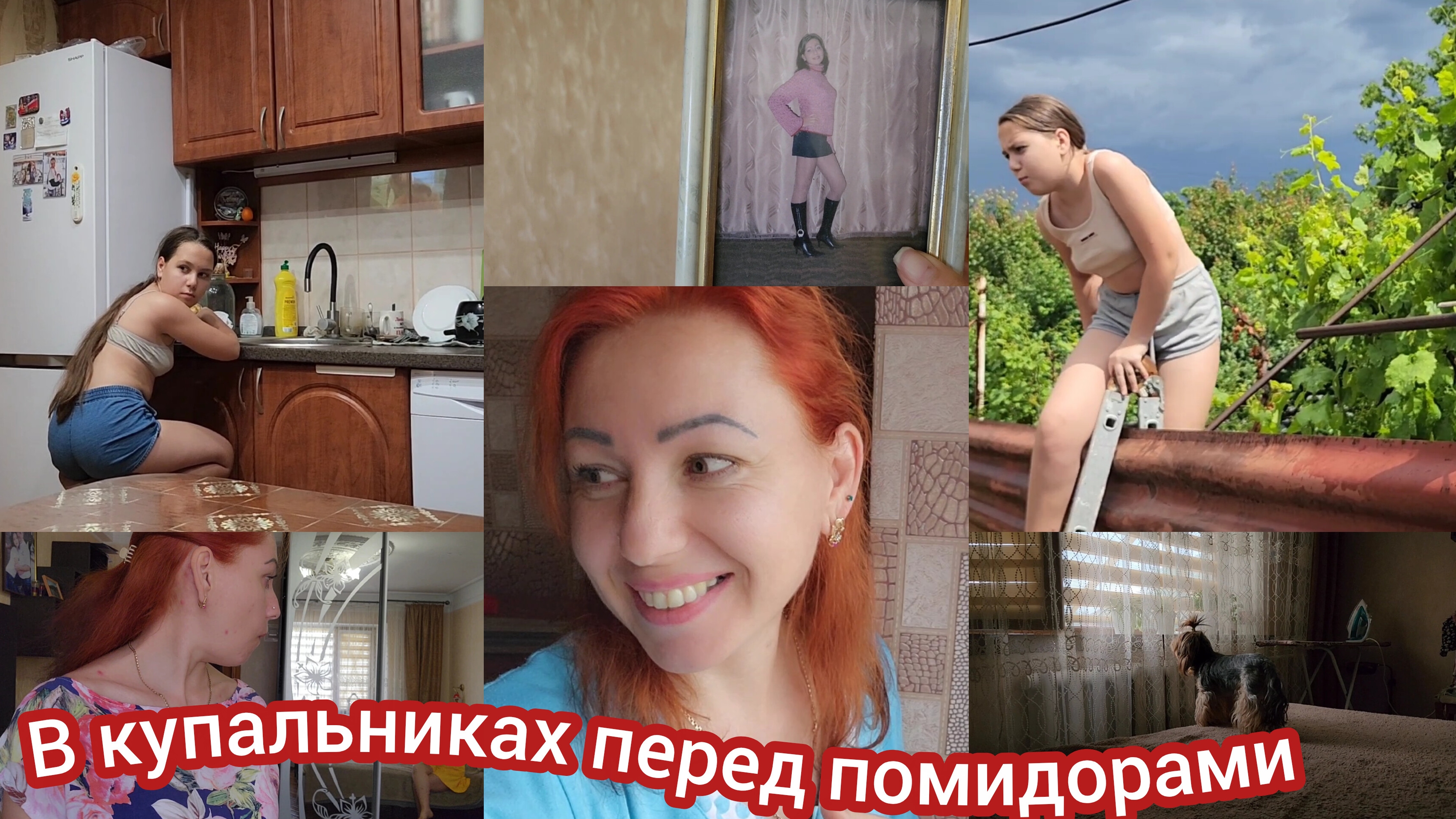 Семья из Мариуполя. На повестке дня. #семьяизмариуполя смотреть онлайн