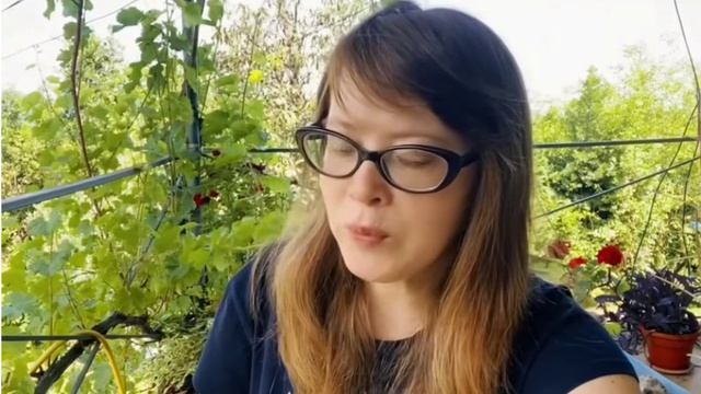 Как США ограбили весь мир