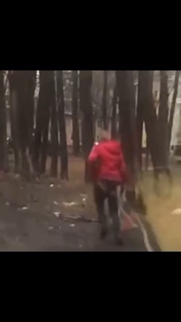 Беги, дорогая беги ! 😎👍🔥 #видео #смотреть #музыка #юмор #беги
