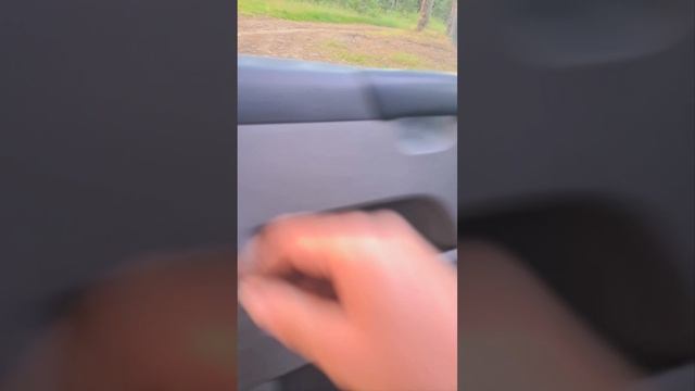 Синий крепыш