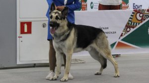 Гуннар