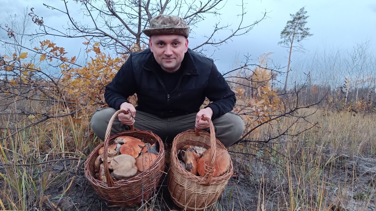 Сбор урожая грибов в СЕКРЕТНОМ месте. смотреть онлайн