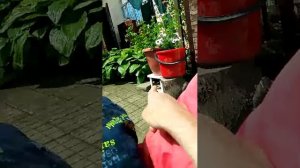 новое правило