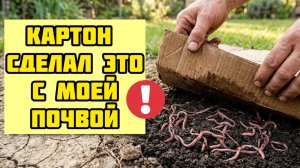 Я перестал покупать червей, когда узнал этот трюк с картоном!