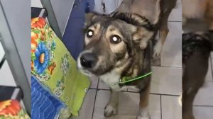 Скользкий пол не желателен