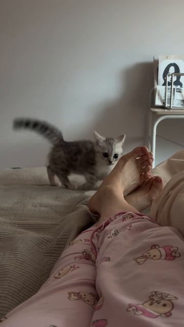 Атакуем сильного противника смотреть онлайн