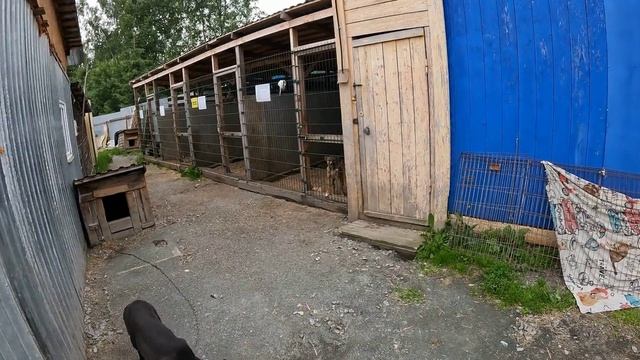 Помоги другу. Знакомство. 1 серия.