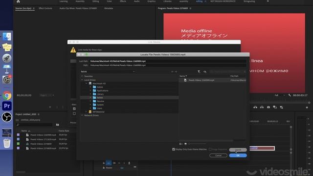 глава 1 18. Relink (Media Offline)