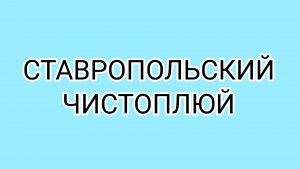 Кухонная битва!