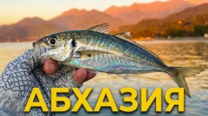 Рыбалка в Абхазии июнь
