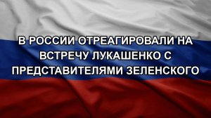 В России отреагировали на встречу Лукашенко с представителями Зеленского