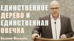 «Единственное дерево и единственная овечка» - Владимир Меньшиков | Проповедь