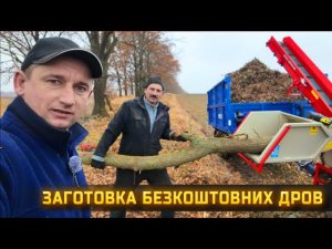 🇺🇦Безкоштовні дрова! Якщо самому заготовлять дрова, то можна нагрітись двічі!