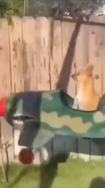 Я на даче только вертолёты ловлю, но самолёты)) смотреть онлайн