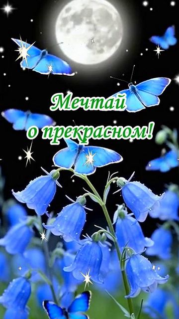 Спокойной ночи! Музыкальная открытка.
