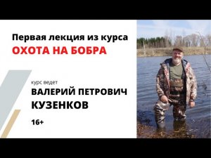 Охота на бобра. Учет и популяция. Академия охоты, лекция из курса «Охота на бобра»