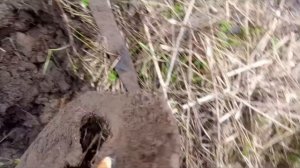 где копать лучше в полях или у старых деревень
