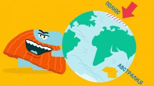 Бодо Бородо/Наука странствий Серия 1 Бодо путешествия/Познавательный мультсериал для детей