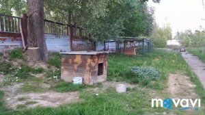 Покраска забора в нашей Усадьбе.