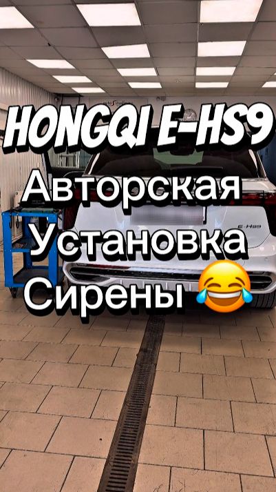 Где прячется мастер в Hongqi E-HS9? 🧰 Авторская установка сирены | Дневник AUTOSTUDIO 16