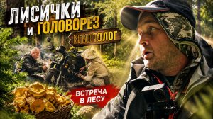 МЫ ПРОСТО СОБИРАЛИ ГРИБЫ, ПОКА НЕ ПОЯВИЛИСЬ ОНИ