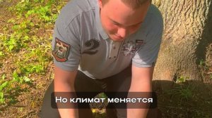 Конкурс видеороликов «ЭКО-кадр: Лес и климат» Давыдова Дарья