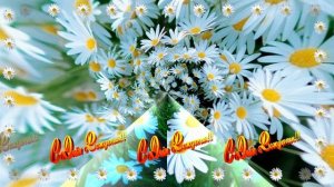 С Днём Рождения!!! Эти Ромашки для очаровательной милашки 4!!!