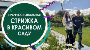Профессиональная стрижка деревьев и кустарников в красивом саду