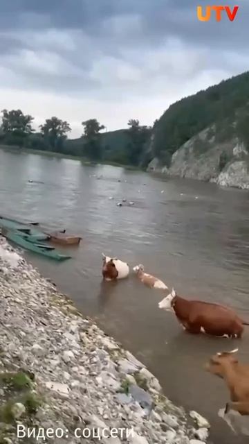 Скоростной трансфер 😍😍😍