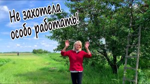 ВСЕ ВЕРНУТСЯ В СЕЛО! И БУДУТ РАБОТАТЬ РУКАМИ. ЖИВУ В ГЛУХОМ СЕЛЕ У ЛЕСА.
