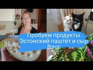 Дегустация продуктов. Эстонский паштет и сыр. Закупка и обзор продуктов. Цены в Эстонии.Таллинн влог