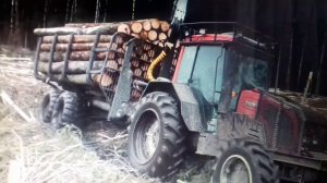 Как возят лес экстремальная тяжелая работа