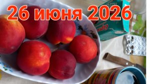 26 июня 2026. Июньская самокатная травма.