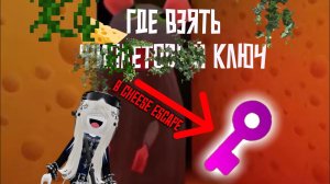 Где найти фиолетовый ключ в cheese escape