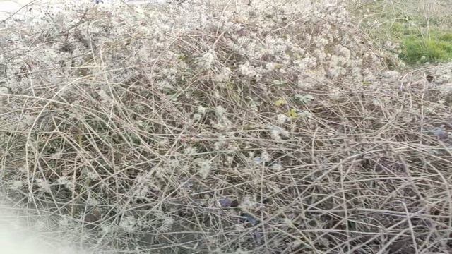 Один из дней города Евпатории | 18 марта 2022 год | Крым ХАН БАТОН XAH 6ATOH | VID_20220318_142731