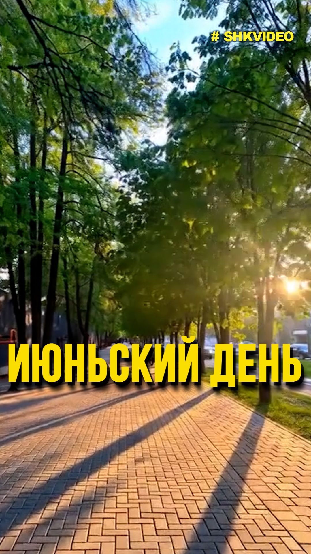 Июньский день