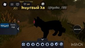 Скин для Мертвого Хвоста ! Почему ты меня ненавидишь ?…