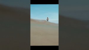 1000045714.mp4