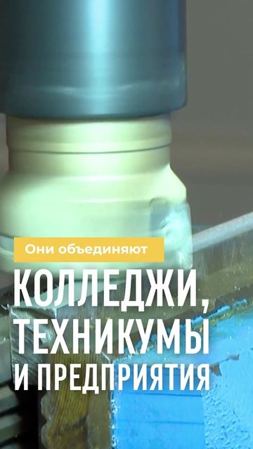 Пойти в колледж — и сразу в профессию?