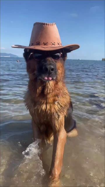 🌊🌴 🎩 😎😍