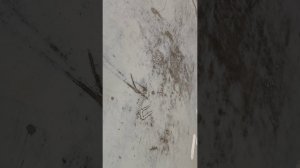 АО ТОРГОВЫЙ Дом перекресток Складочная.