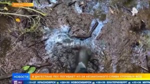 Хасавюрте образовалось мертвое зона