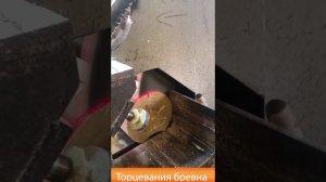Производство дерева