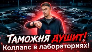 ЧТО С ТАМОЖНЕЙ? ОЧЕРЕДИ В ЛАБОРАТОРИЮ!