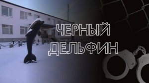 Побывали внутри Чёрного дельфина