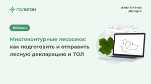 Многоконтурные лесосеки как подготовить и отправить лесную декларацию и таксационное описание