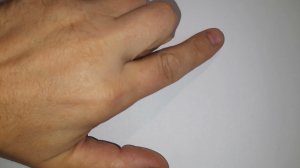 Белоснежные обои